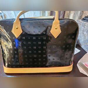 Arcadia Black and Tan Interior Bag